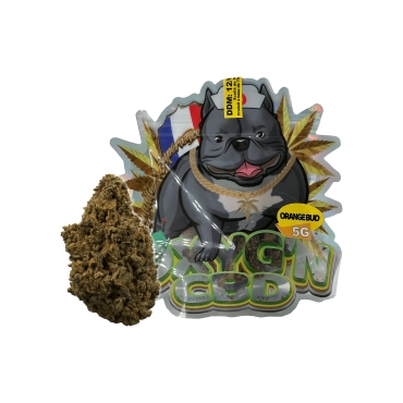 Orange Bug 5g - Oxyg'n CBD