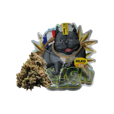 Orange Bug 5g - Oxyg'n CBD