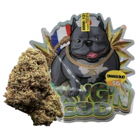 Orange Bug 5g - Oxyg'n CBD