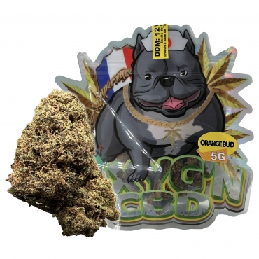 Orange Bug 5g - Oxyg'n CBD
