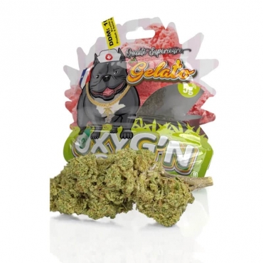 Gélato 5g - Oxyg'n CBD