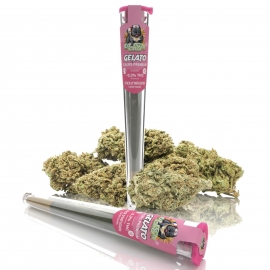 Pré-roll Gélato