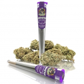 Pré-roll Amnésia