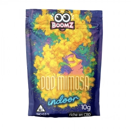 Sachet CBD 5g Mimosa - Boomz