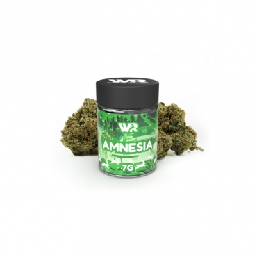 Pot CBD 7g Amnesia - White Rabbit