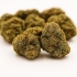 Fleurs CBD Blackberry - Greenhouse (1 gramme)