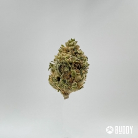 Fleurs CBD OG Kush (1 gramme)