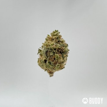 Fleurs CBD OG Kush (1 gramme)