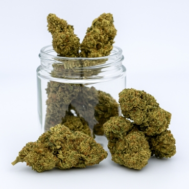 Fleurs CBD Zookies (1 gramme)