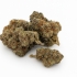 Fleurs CBD Purple Blueberry Muffin (1 gramme)