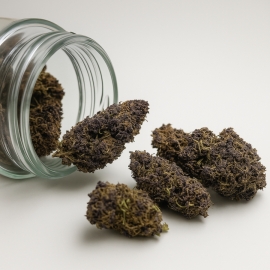 Fleurs CBD Purple Haze (1 gramme)