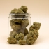Fleurs CBD Strawberry Cheesecake (1 gramme)