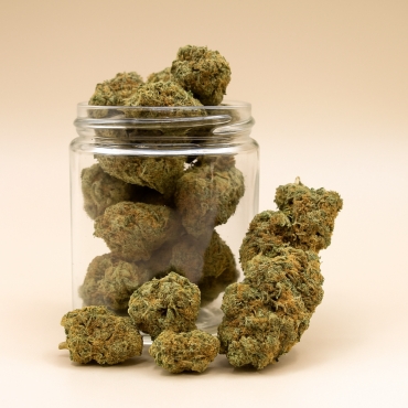 Fleurs CBD Strawberry Cheesecake (1 gramme)