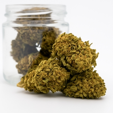 Fleurs CBD Cookies (1 gramme)
