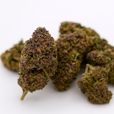 Fleurs CBD HAZE (1 gramme)