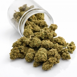 Fleurs CBD Gelato (1 gramme)