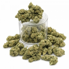 Fleurs CBD Candy Kush (1 gramme)