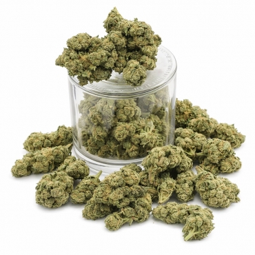 Fleurs CBD Candy Kush (1 gramme)